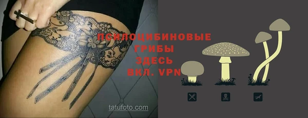 скорость Абаза