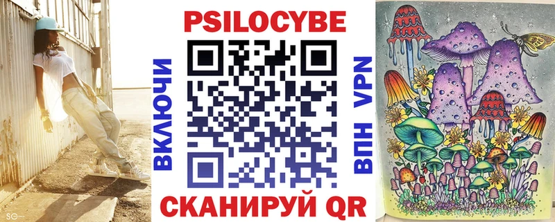 купить   Починок  Псилоцибиновые грибы Cubensis 