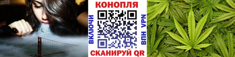Бошки Шишки планчик  где найти   KRAKEN ТОР  Починок 
